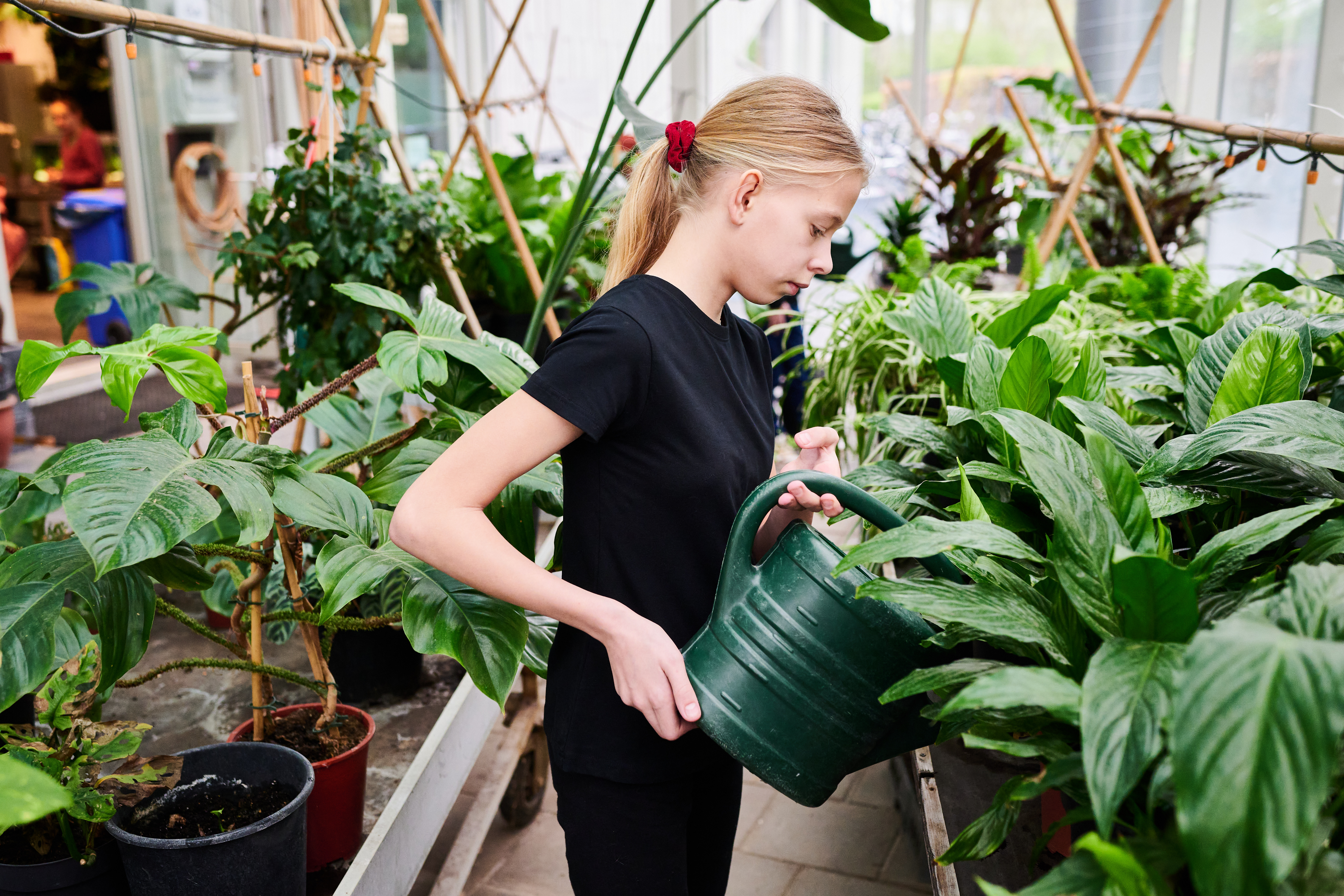 Leerling van het Heyerdahl College geeft planten water.