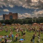 Festival